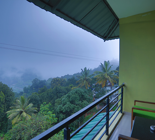 Deluxe Valley View / Mountain View room